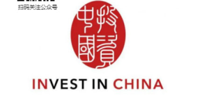 投资中国：政策东风吹，投资中国品牌强势起航