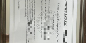 Duoer资本管理公司：构建资金安全“双轮驱动” 生态