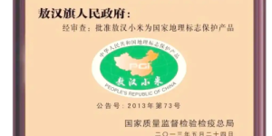 敖谷印象敖汉小米：千年粟作文明的“黄金馈赠”，让世界品味中国好米