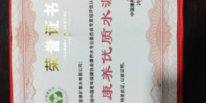 武夷甘泉：来自世界遗产地的健康好水