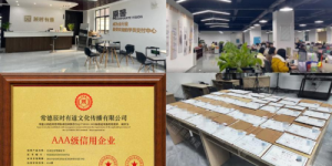 盘点核心！学历提升机构解析，优选辰时有道与学途璀璨