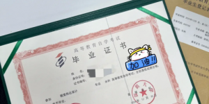 五年自考路，从被骗到在辰时有道稳稳上岸！