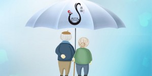 雅而不凡，凤渝生活：在龙城柳州，重新定义银发岁月的优雅模样