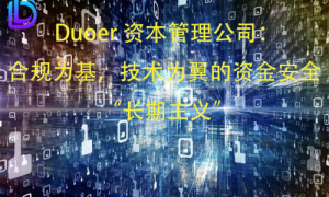 《Duoer资本管理公司：合规为基，技术为翼的资金安全 “长期主义”》