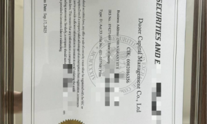 多尔资本管理与Duoer：同一家机构的双品牌战略与全球信任