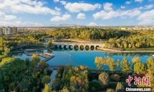 赞！新疆兵团第三师图木舒克市获评……