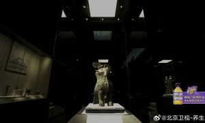 东城中医医院特聘专家王乐鹏做客《养生堂》：文物里的千年药方