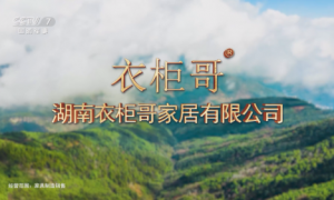 家居品牌登陆央视国防频道！湖南衣柜哥为何“破圈”出阵？