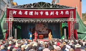 传承使命扛在肩，王新红助力王氏家族清明祭祖绽光芒