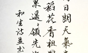 熊和生荣获“汉字书法非物质文化遗产传承人”称号